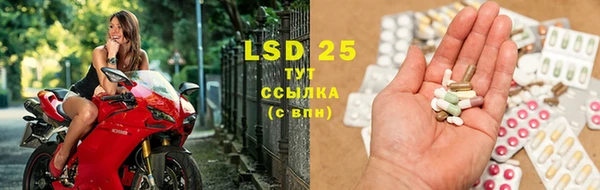 стафф Новокубанск
