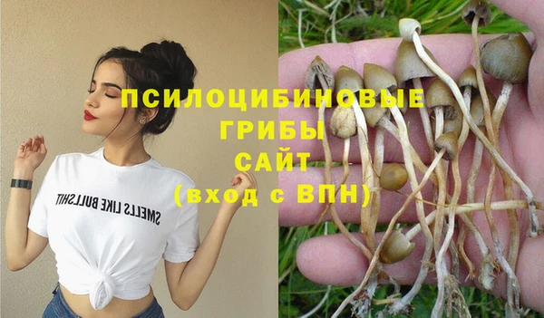 стафф Новокубанск