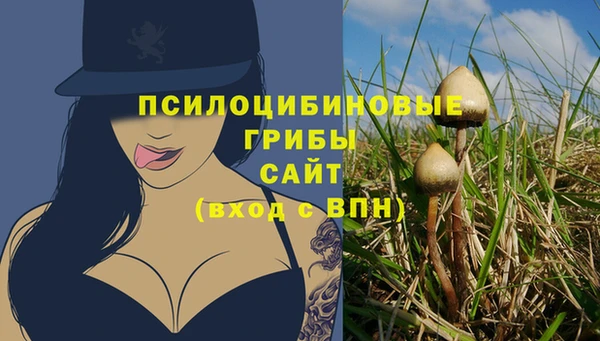 кокаин Новодвинск