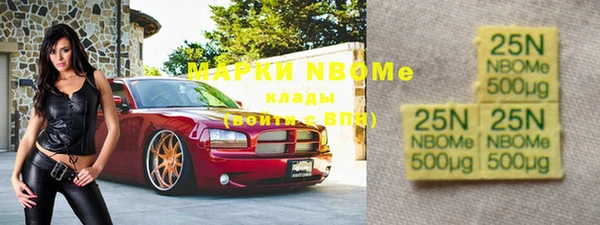 стафф Новокубанск