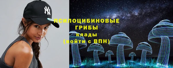 стафф Новокубанск