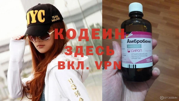 стафф Новокубанск