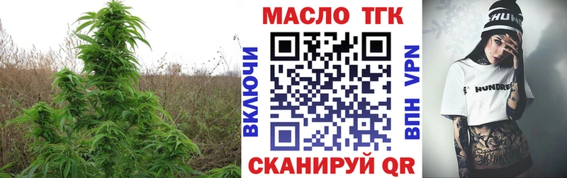 ТГК Wax  Холм 
